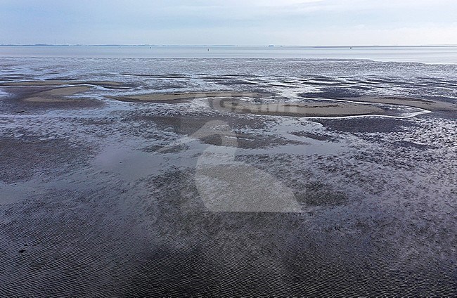 Mudflats in the Westerschelde during low tide. stock-image by Agami/Jacques van der Neut,