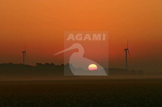 Zonsopkomst in de polder; Sunrise in the polder stock-image by Agami/Kristin Wilmers,