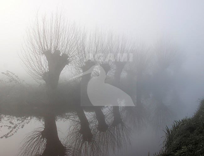 Olde Maten, Olde Maten stock-image by Agami/Theo Douma,