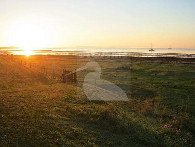 Westerveld, Vlieland (Nederland / Netherlands) stock-image by Agami/Marc Guyt,