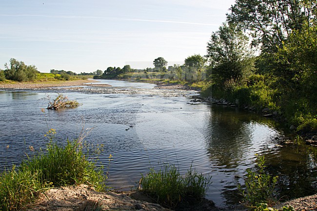 Grensmaas, Meers, Limburg; Nederland / Netherlands stock-image by Agami/Ran Schols,