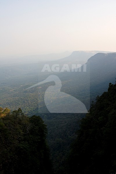 Gods Window, Kleine Drakensbergen, South-Africa stock-image by Agami/Marc Guyt,
