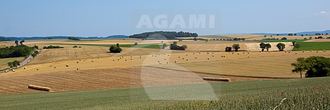 Landbouw in de Morvan (Frankrijk), Agriculture in the Morvan (France) stock-image by Agami/Theo Douma,