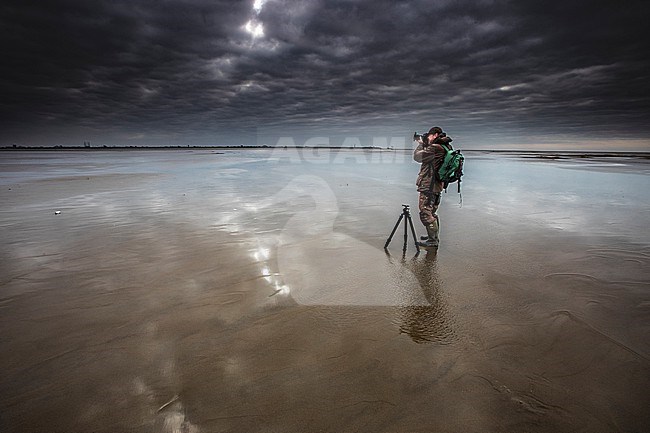Landscape photographer on the beach of Texel stock-image by Agami/Wil Leurs,