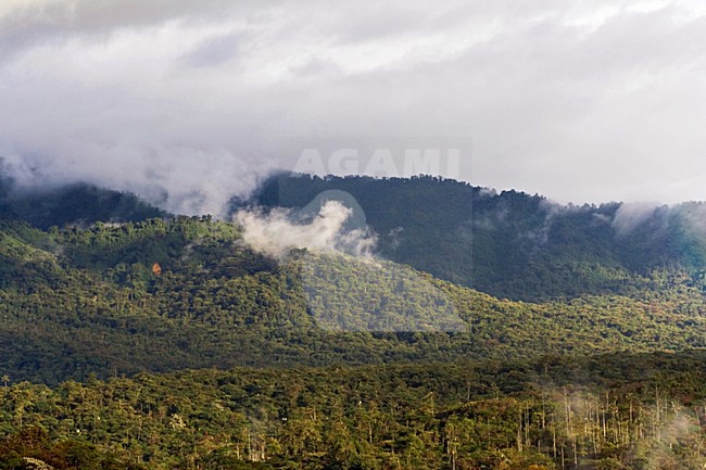 San Isidro West slope Andes Ecuador stock-image by Agami/Marc Guyt,