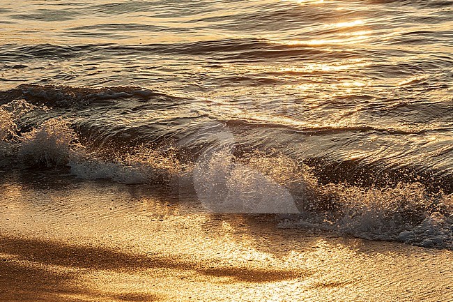 Golden sunlight reflecting on surging waves on a beach at sunset. Drake Bay, Osa Peninsula, Costa Rica. stock-image by Agami/Sergio Pitamitz,