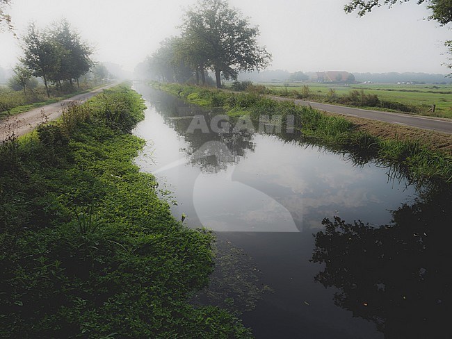 Peatcanal Helenavaart in a misty morning stock-image by Agami/Rob Riemer,