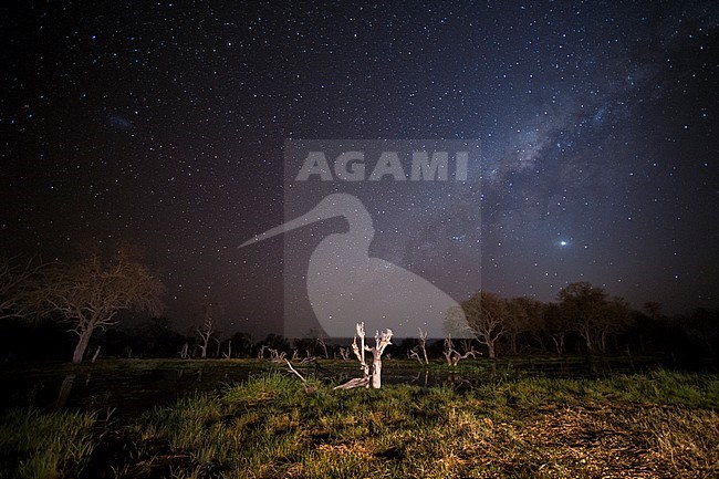 The Milky Way over the Khwai river. Khwai Concession, Okavango Delta, Botswana stock-image by Agami/Sergio Pitamitz,