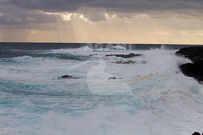 Kust Azoren, Coast Azores stock-image by Agami/Menno van Duijn,