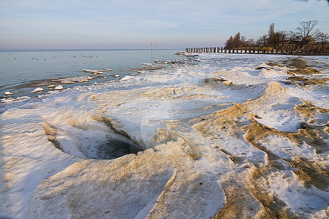View from Münsterlingen stock-image by Agami/Ralph Martin,