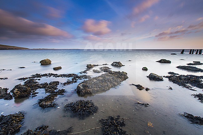 Wadden sea stock-image by Agami/Wil Leurs,