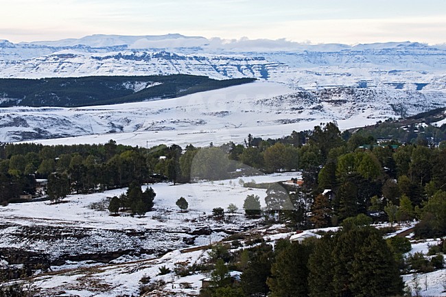 Underberg, Drakensbergen, South-Africa stock-image by Agami/Marc Guyt,