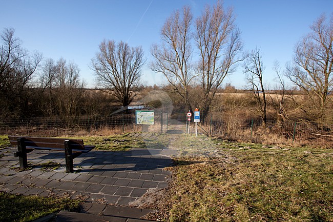 Observatiehut de Grauwe Gans Oostvaardersplassen stock-image by Agami/Roy de Haas,