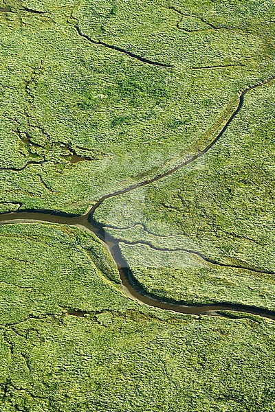  stock-image by Agami/Marc Guyt,