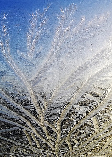 Frost on window stock-image by Agami/Martijn Verdoes,