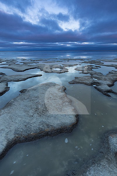 Frozen Wadden Sea stock-image by Agami/Wil Leurs,