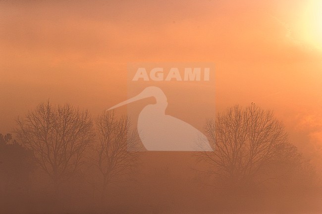 zonsopkomst, sunrise stock-image by Agami/Daniele Occhiato,