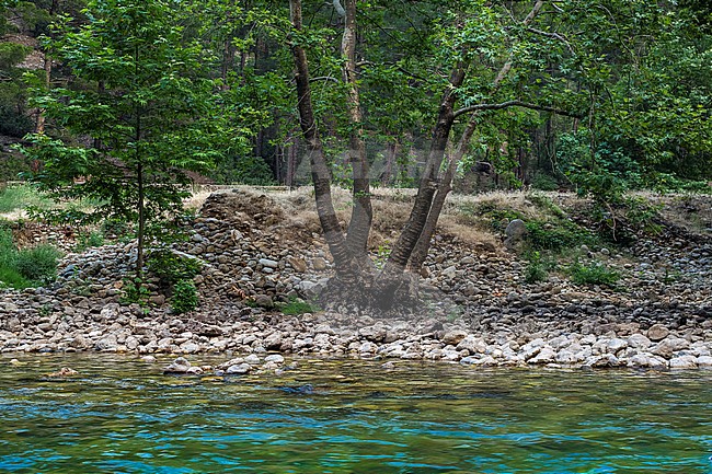 Typical habitat of the Turkish Fish-Owl in Taurus Mountain. stock-image by Agami/Vincent Legrand,