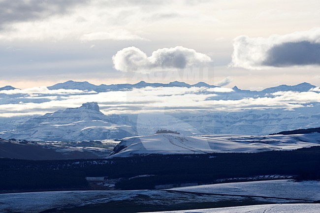 Underberg, Drakensbergen, South-Africa stock-image by Agami/Marc Guyt,