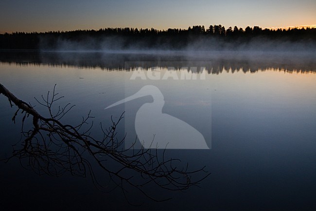 Taiga meer Finland, Taiga lake Finland stock-image by Agami/Menno van Duijn,