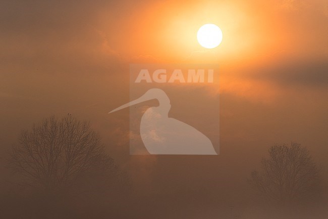 zonsopkomst, sunrise stock-image by Agami/Daniele Occhiato,