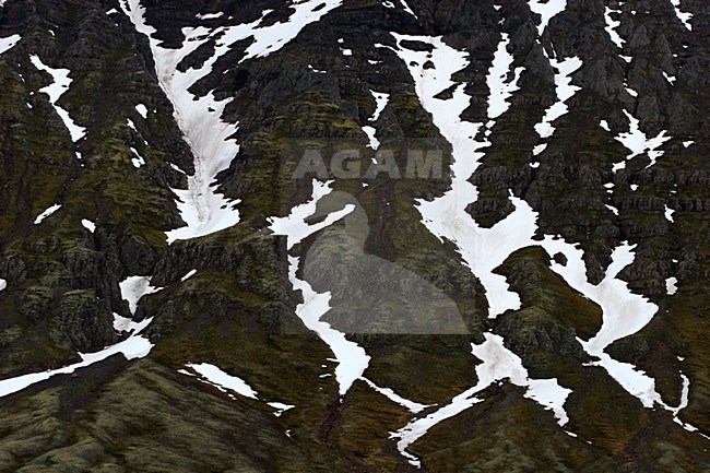 Berghelling bij Fagredallur; Mountain slope at Fagredallur stock-image by Agami/Menno van Duijn,