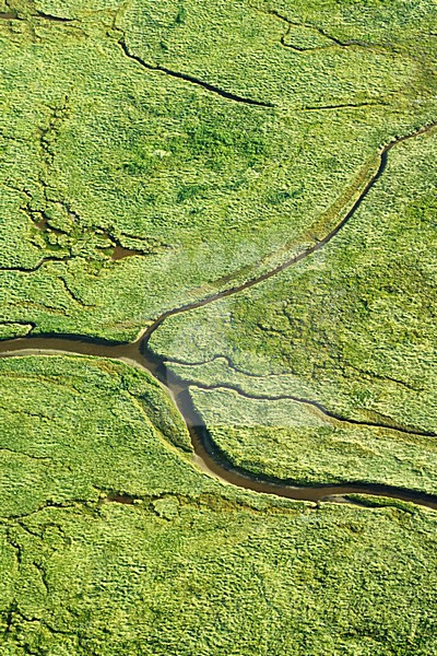 Luchtfoto van Schiermonnikoog, Oosterkwelder; Aerial photo of Schiermonnikoog, Oosterkwelder stock-image by Agami/Marc Guyt,