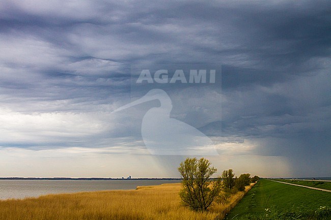 Markermeer, Oostvaardersdijk, Thunder, Clouds stock-image by Agami/Menno van Duijn,