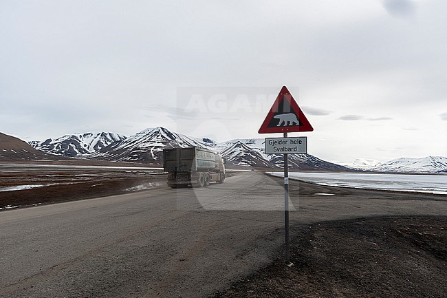 A danger sign warning of polar bears posted along a road in Longyearbyen. Longyearbyen, Spitsbergen Island, Svalbard, Norway. stock-image by Agami/Sergio Pitamitz,