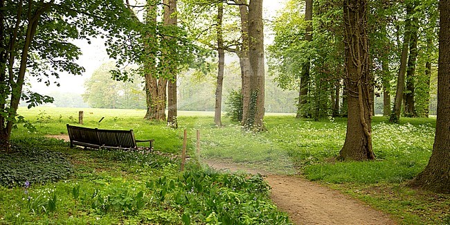 Landscape in Twente, the Netherlands. Wooden bench to sit along a small dirt road. stock-image by Agami/Theo Douma,