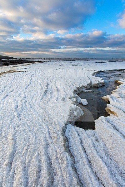 IJsgruis op het wad bij Wierum, Ice on tidalflats at Wierum stock-image by Agami/Wil Leurs,