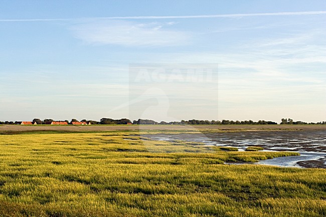 Schorren bij Den Oever; Tidal creeks at Den Oever stock-image by Agami/Marc Guyt,