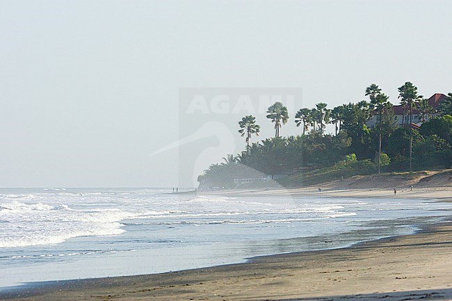 The Atlantic Ocean coastline of Gambia stock-image by Agami/Wil Leurs,