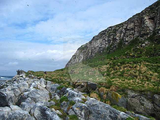 Landschap Varangerfjord, Landscape Varangerfjord stock-image by Agami/Arie Ouwerkerk,