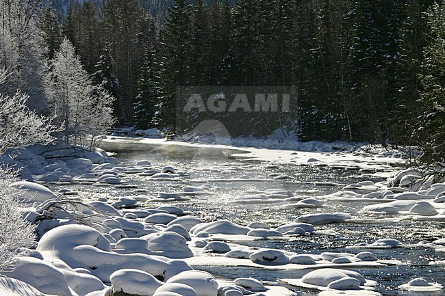 Trysilelva in de winter; Trysil river in winter stock-image by Agami/Kristin Wilmers,