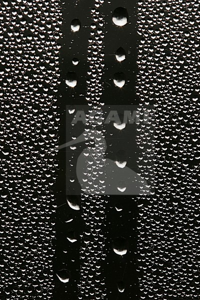Condens op een raam, Condensation on a window stock-image by Agami/Menno van Duijn,