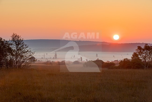 Hoge Veenen NP zonsopkomst, NP High Fenns sunrise stock-image by Agami/Rob Riemer,