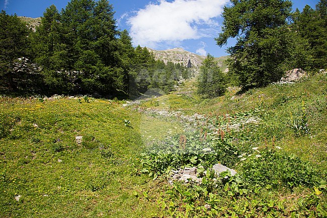 Mountain landscape Alpes stock-image by Agami/Theo Douma,