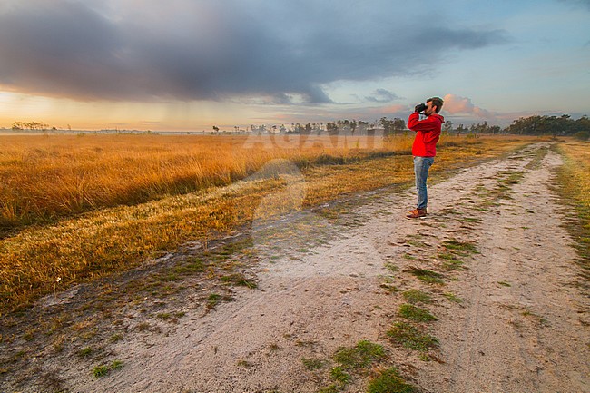 Nature reserves Kalmthout Heath stock-image by Agami/Menno van Duijn,