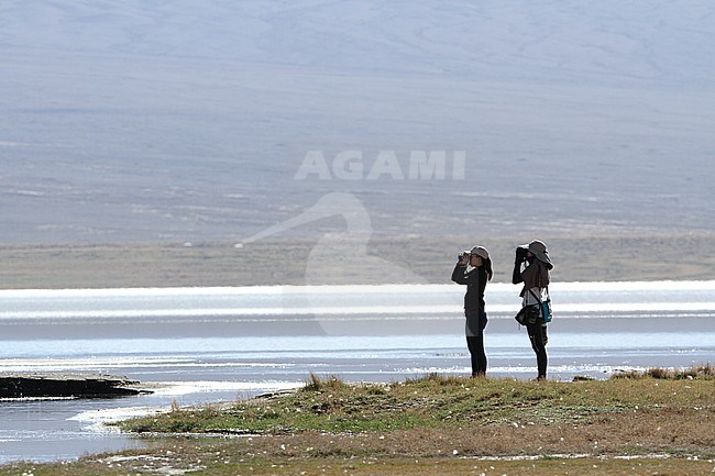 Two female birdwatchers in Mongolia. Doing observations of local bird species. stock-image by Agami/James Eaton,