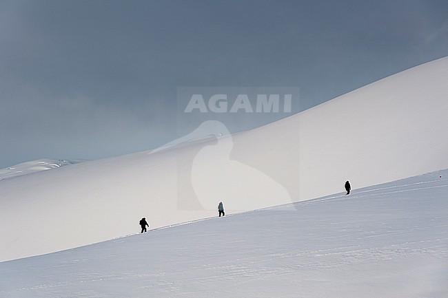 Tourists walking on the snow in Paradise Bay, Antarctica. Antarctica. stock-image by Agami/Sergio Pitamitz,