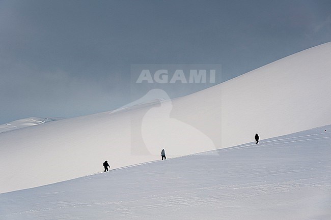 Tourists walking on the snow in Paradise Bay, Antarctica. Antarctica. stock-image by Agami/Sergio Pitamitz,