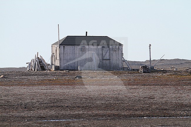 Lonely hut in Svalbard, Arctic Norway stock-image by Agami/Chris van Rijswijk,