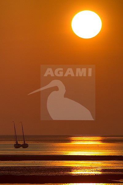 Boten liggen in drooggevallen Waddenzee tijdens zonsopkomst; Boats drifting at dried out Wadden Sea at sunrise stock-image by Agami/Harvey van Diek,