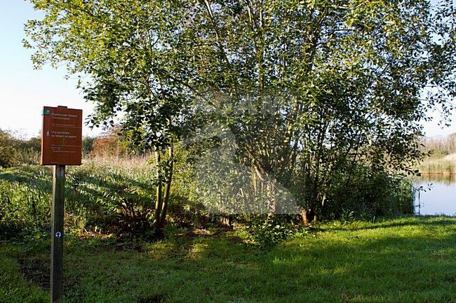 Kromslootpark Almere stock-image by Agami/Roy de Haas,
