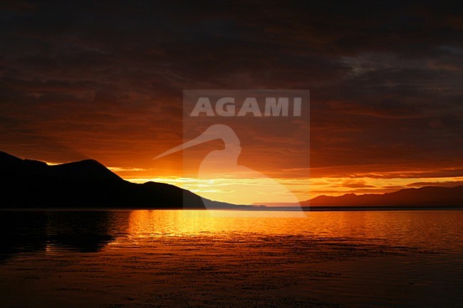 Ushuaia haven zonsopkomst; Ushuaia harbour sunset stock-image by Agami/Marc Guyt,