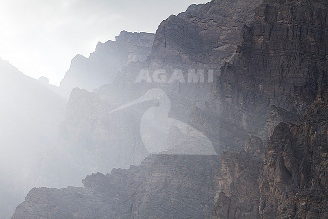 Al Hajar mountains, Oman stock-image by Agami/Ralph Martin,
