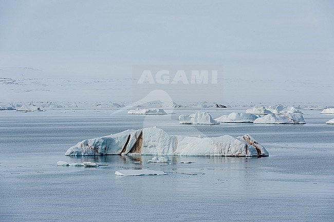An iceberg field. Nordaustlandet, Svalbard, Norway stock-image by Agami/Sergio Pitamitz,
