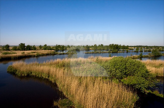 Natuurgebied Rottige Meente; Nature reserve Rottige Meente stock-image by Agami/Marc Guyt,