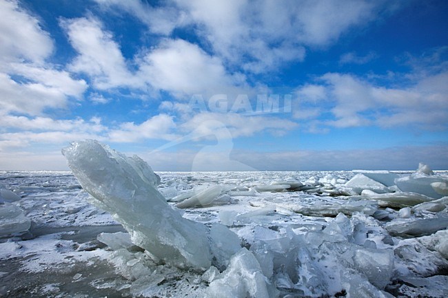 Kruiend ijs op het IJsselmeer Nederland, Drifting ice on the IJsselmeer Netherlands stock-image by Agami/Wil Leurs,